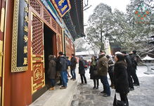 新聞詳情 行業(yè)資訊 古建建筑裝飾專業(yè)委員會(huì)